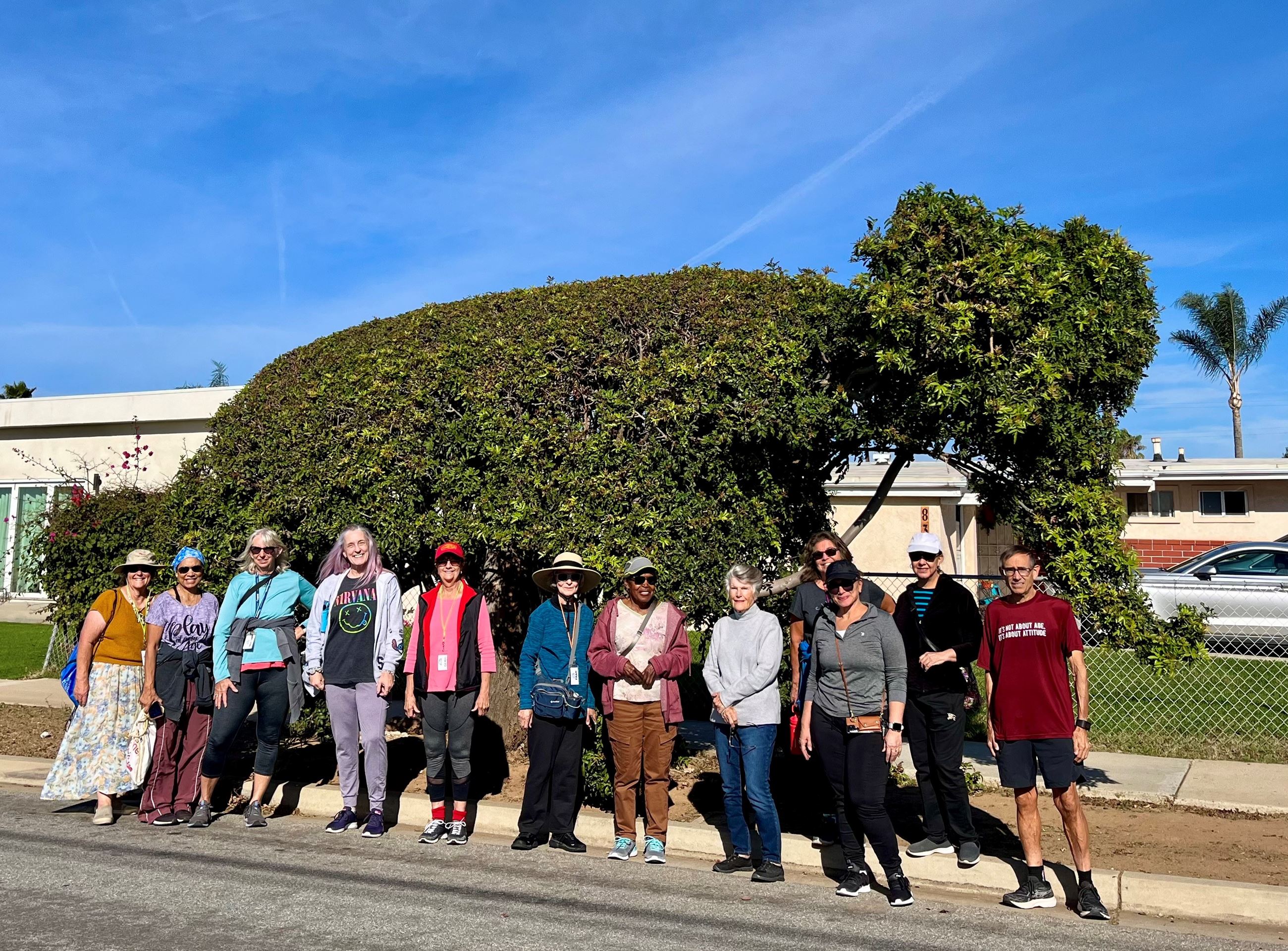 Walking Club Picture